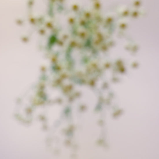 Laden und Abspielen von Videos im Galerie-Viewer, Sunny - Austauschbare Brosche für unsere Lederwaren
